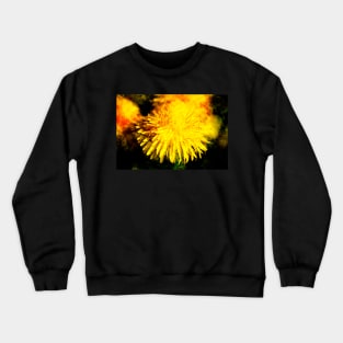 Dandelion blossom, abstract, macro shot, dandelion, flower Crewneck Sweatshirt